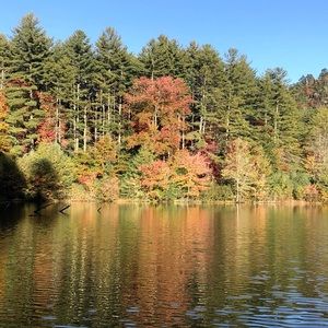 Meet your Posher, Josue